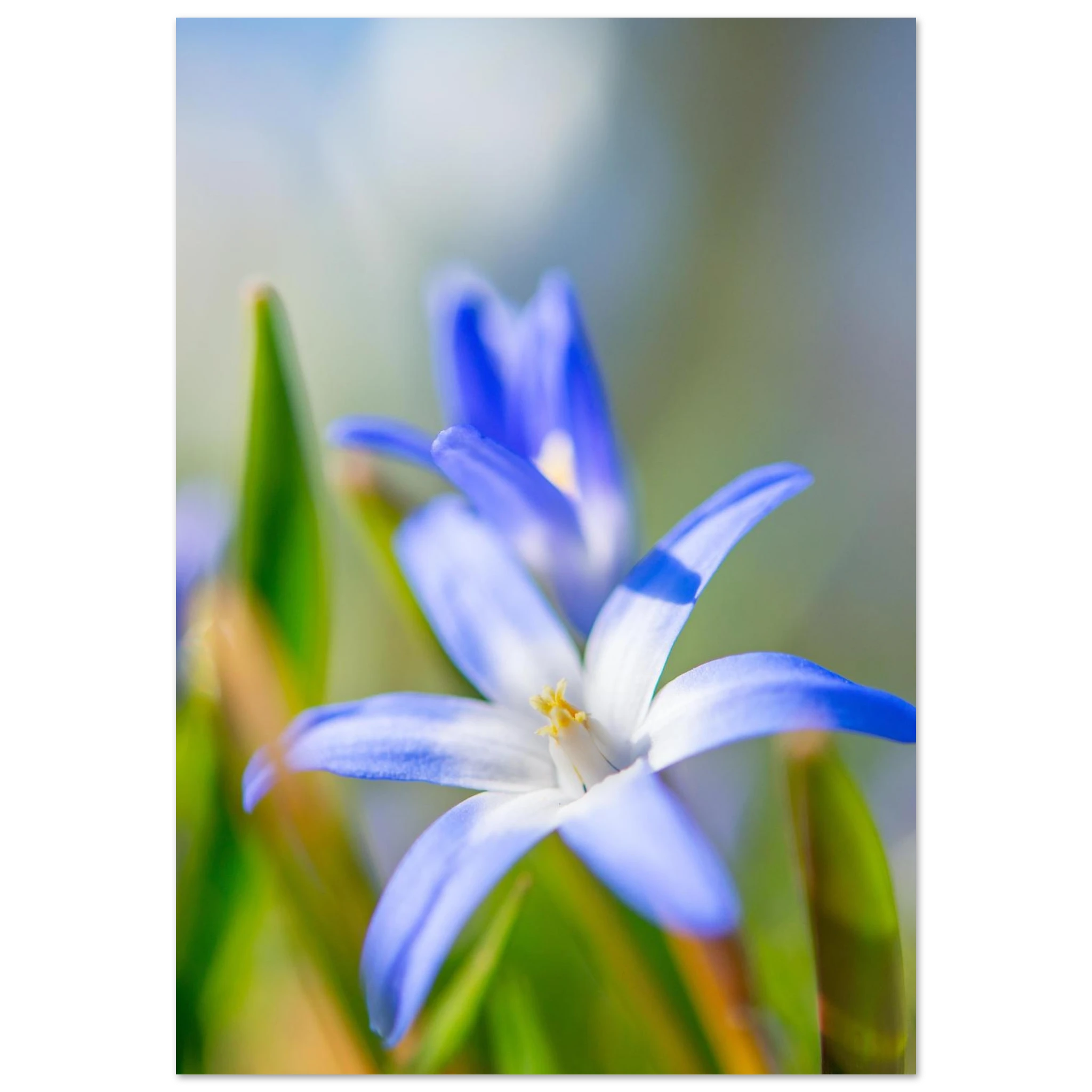ba04a624-720e-4437-b334-9c6dd0691cc7