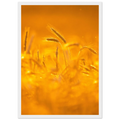 ba586a49-495e-4757-b176-45c284b4b639