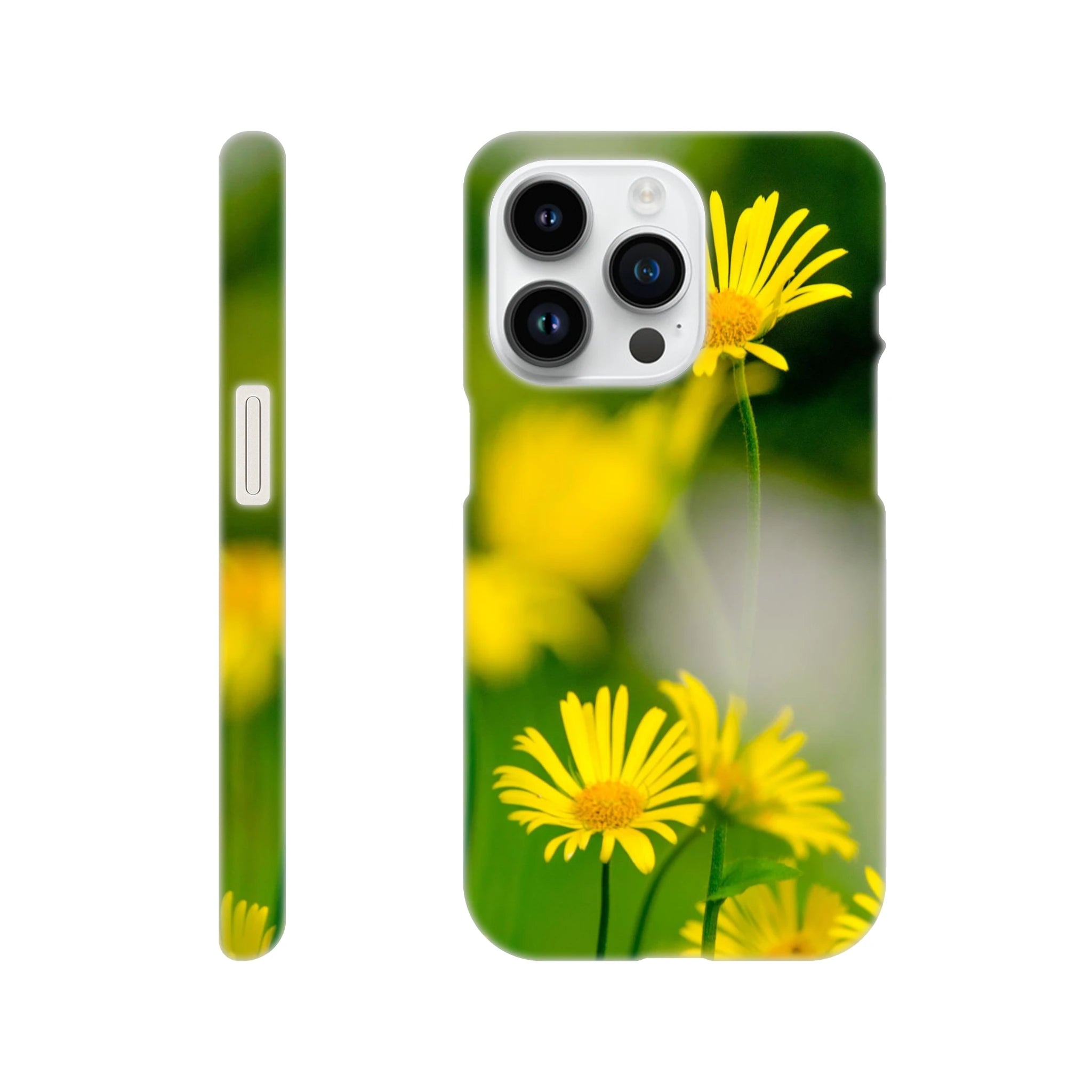bb307388-8b3b-461f-87e9-1efbae44dd86