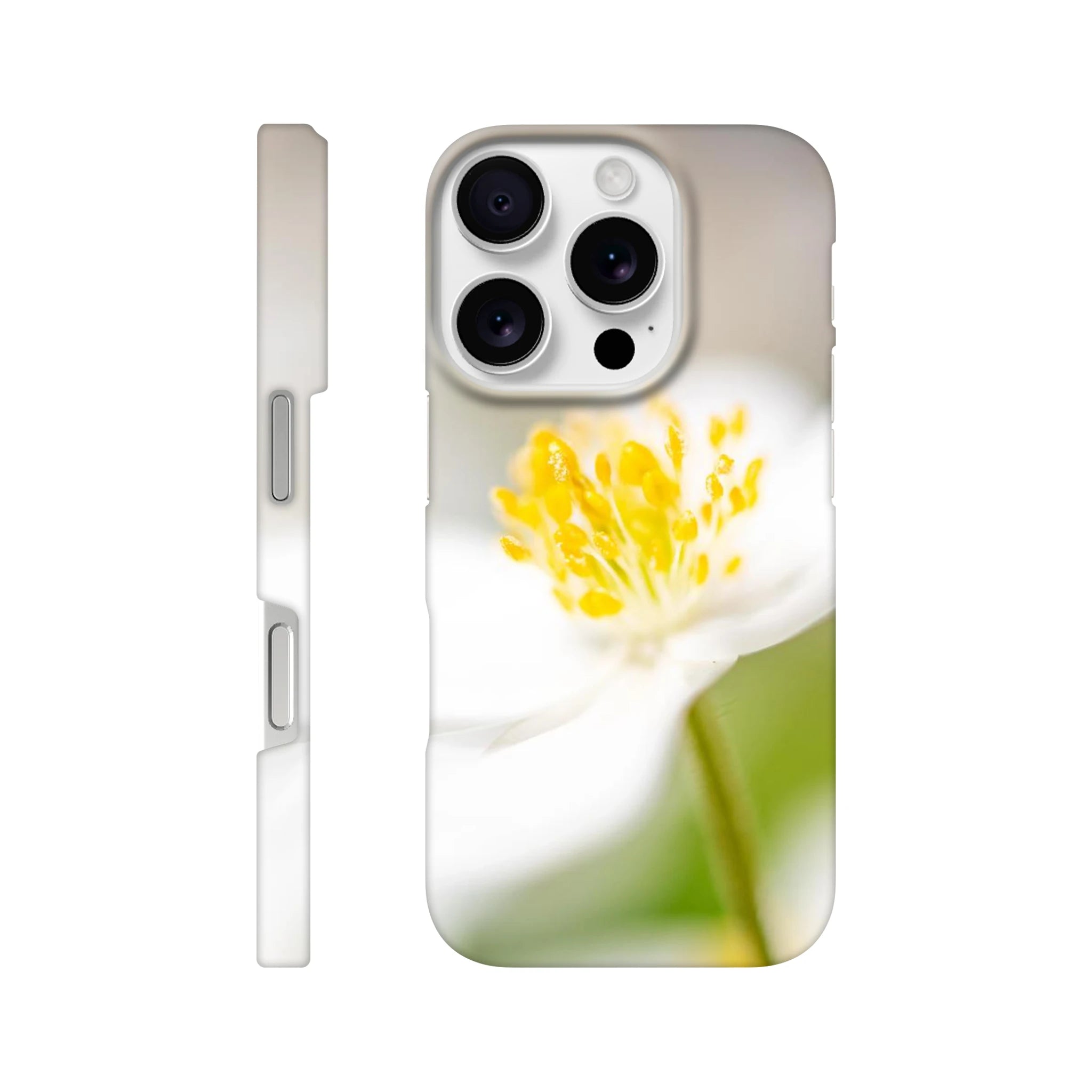 bb796967-fcf5-471c-afbb-5ccc53139253