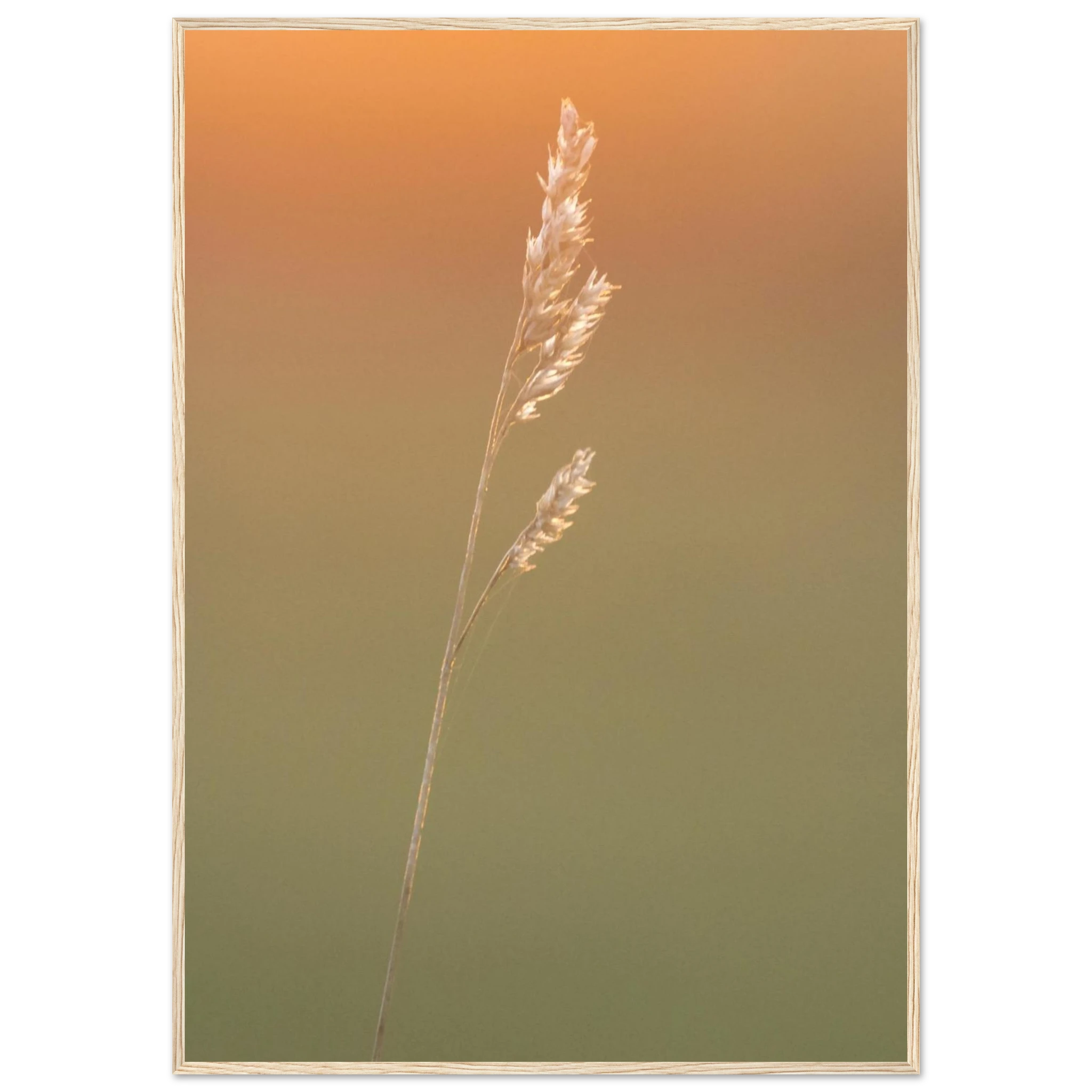 bc1bc120-9721-4e8b-a1b4-4f17a5ba657b
