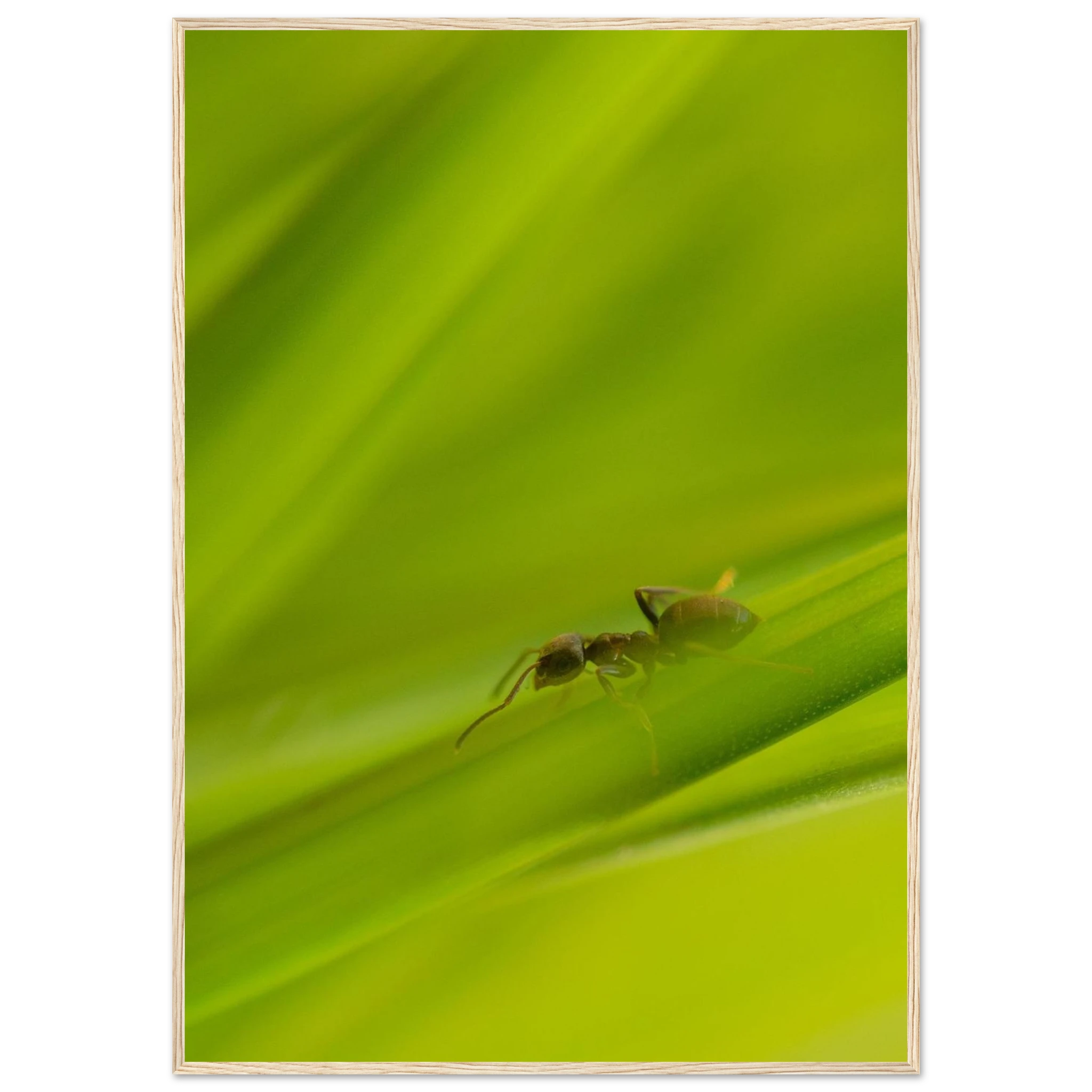 bc35e65b-9759-4e07-8a7d-e4f2b1f17f62