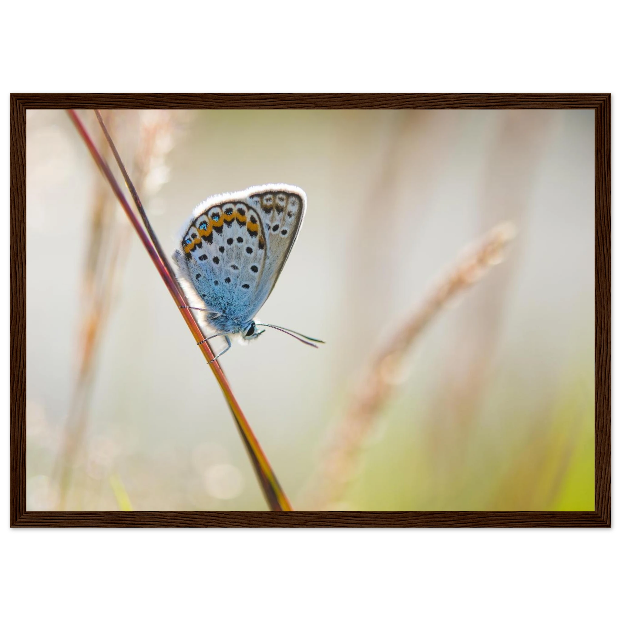 bc3d3617-7e8f-4e06-a40c-3b80937a6db3
