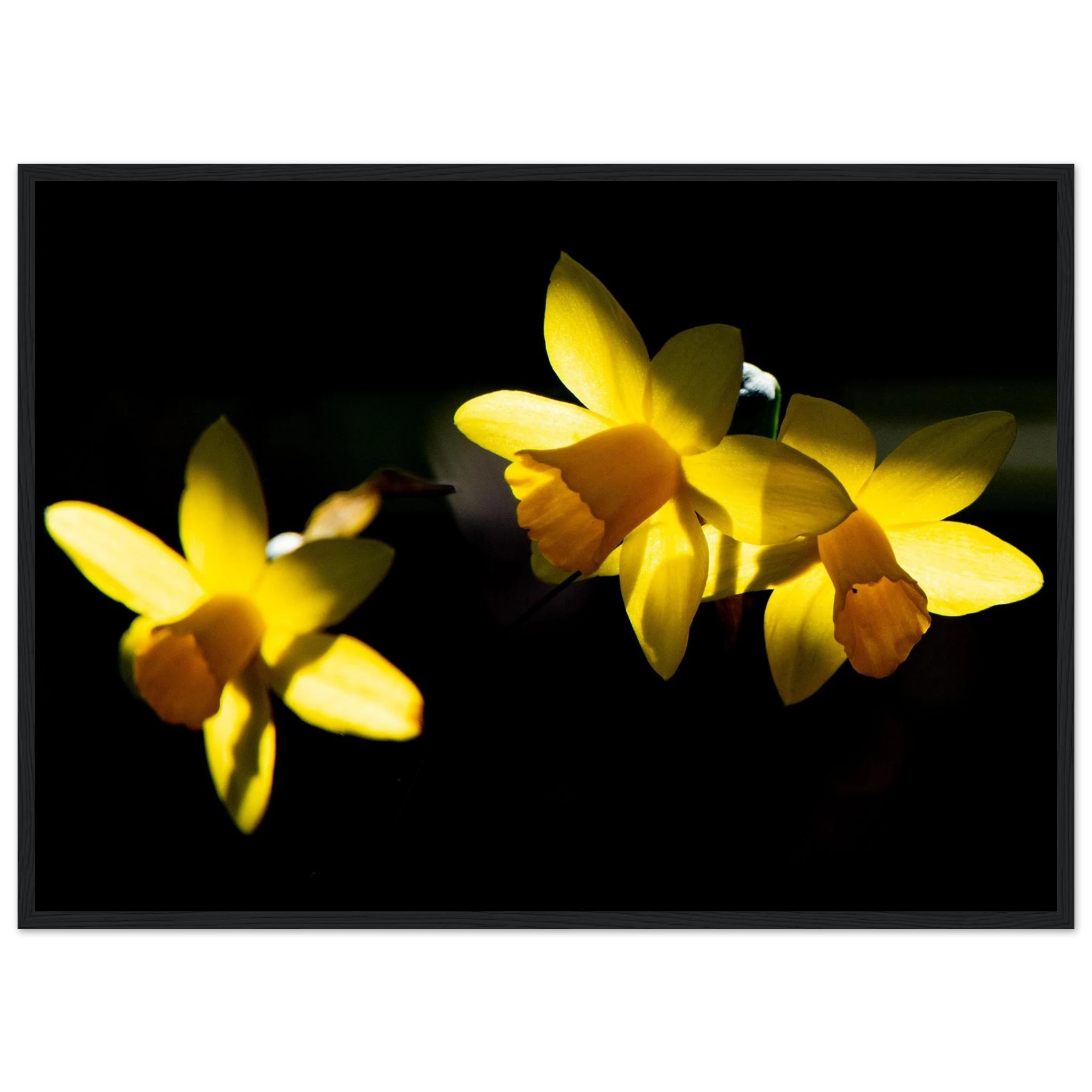 bc9e83f4-5be8-435d-8518-c9f3858526c9