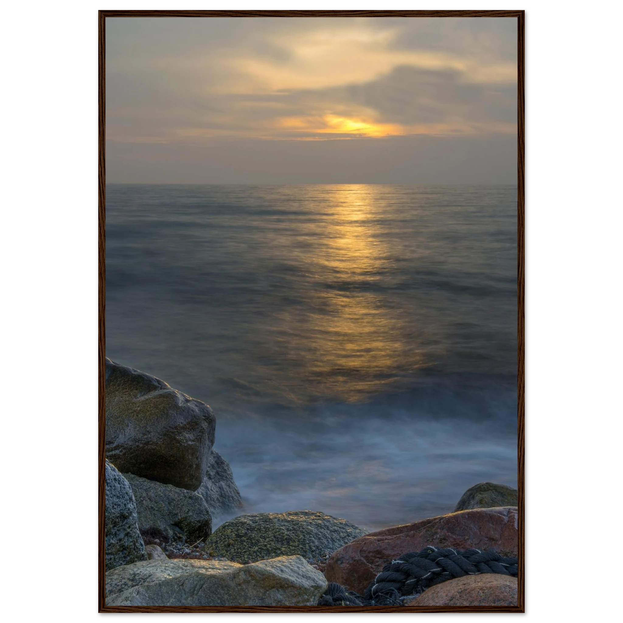 bd3de534-62a8-4554-a2df-b840447d5535