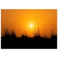bd585984-05ba-4baa-b7d6-d9c0980e73c4