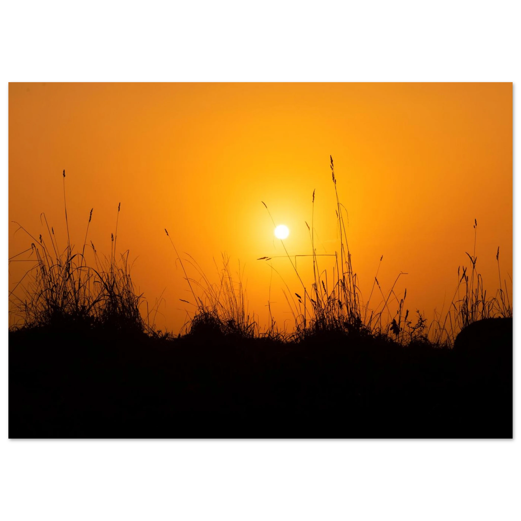 bd585984-05ba-4baa-b7d6-d9c0980e73c4