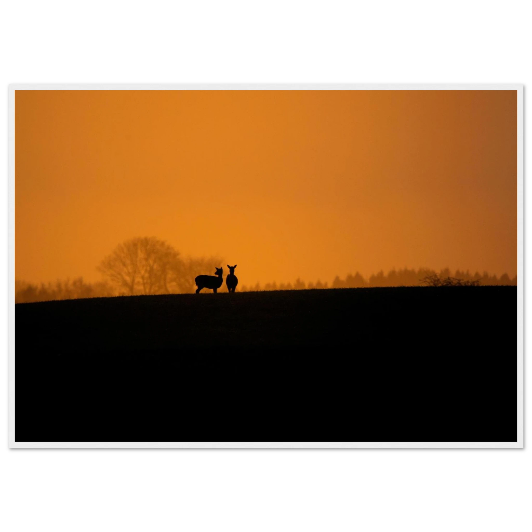 bd732527-6186-49b0-836f-644d797f3ecb