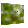be45ca98-faa8-41b4-a8ae-9cd7e8809ca3