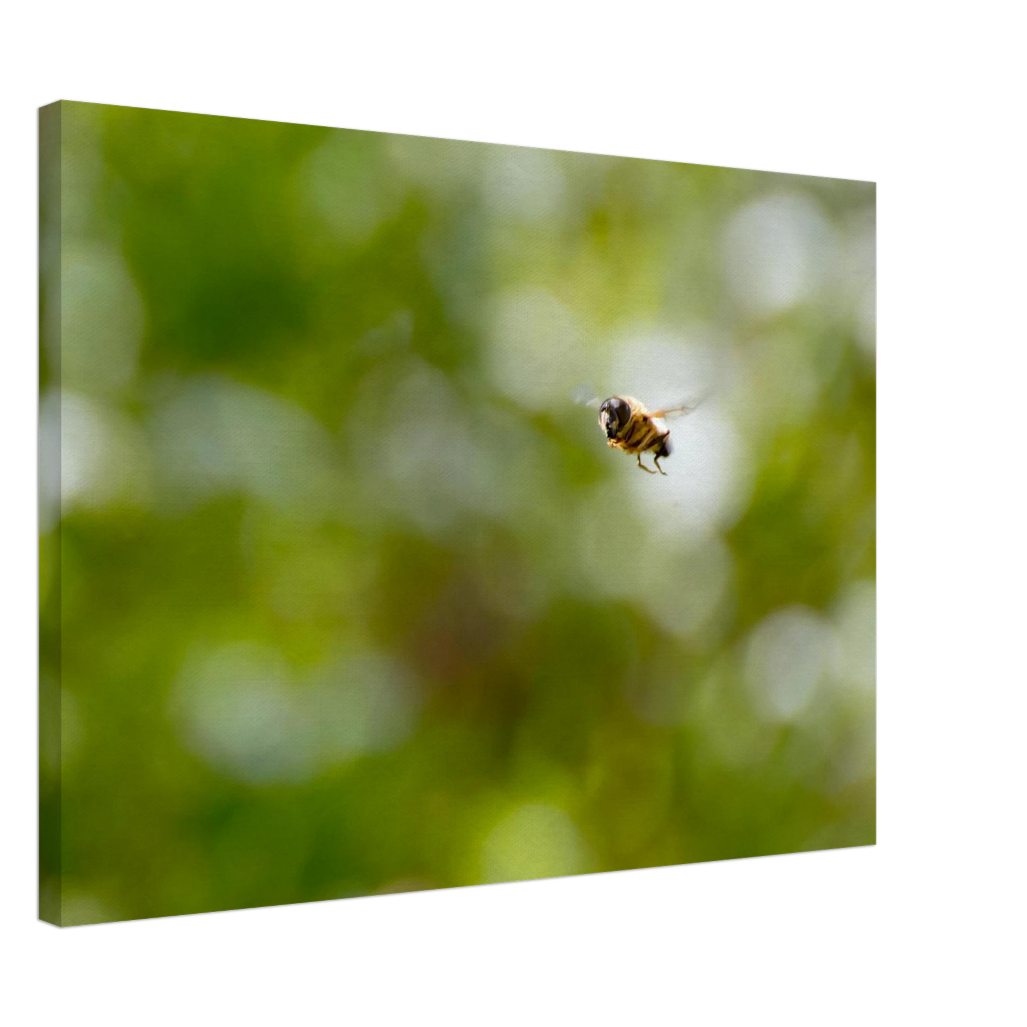 be45ca98-faa8-41b4-a8ae-9cd7e8809ca3