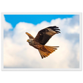 bee1d079-dab8-43f1-b801-ad6248464554