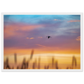 c03c3796-73bd-49e5-a71d-46f9093e4486