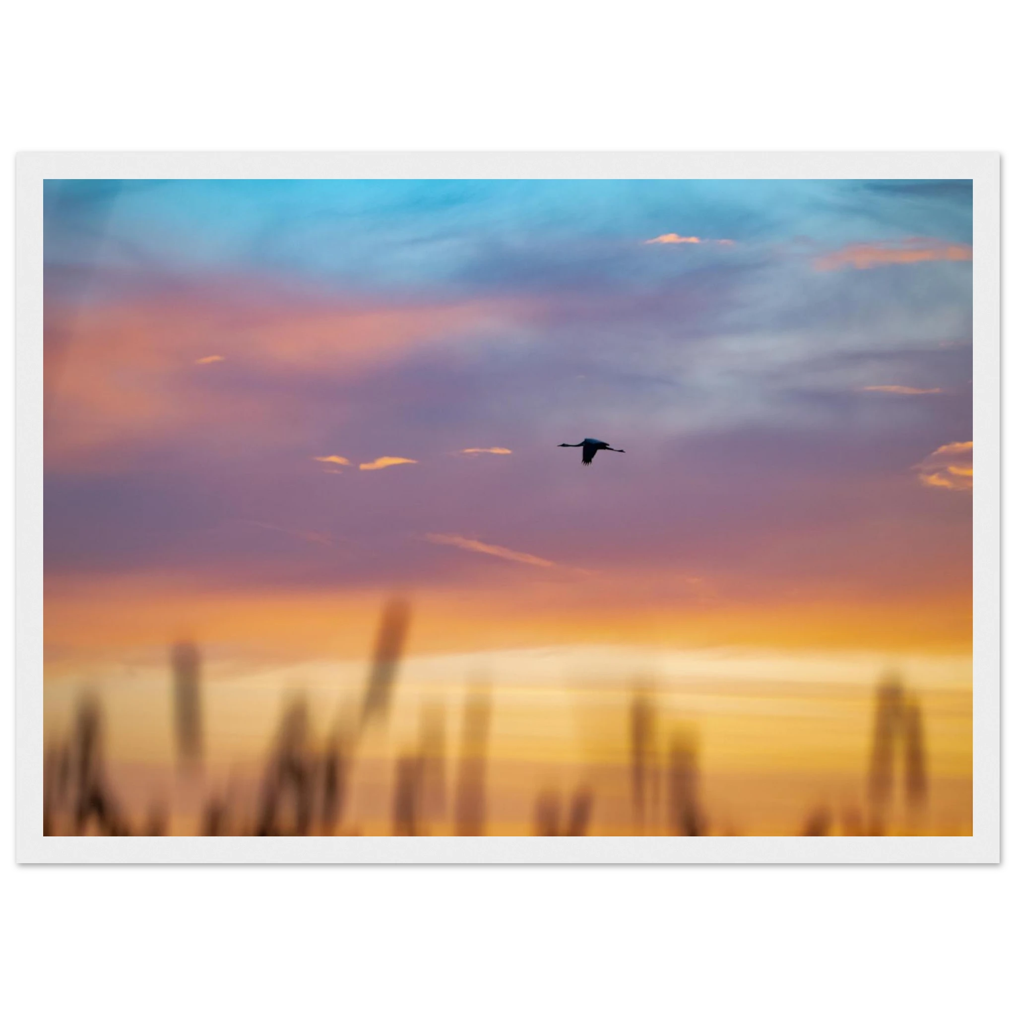 c03c3796-73bd-49e5-a71d-46f9093e4486