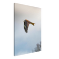 c191aa0c-1de3-4a5c-8eb1-7020e9492bac