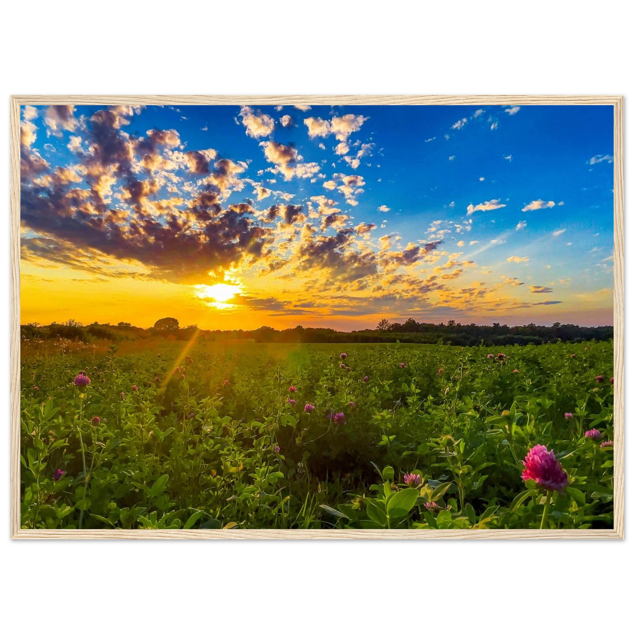 c19e5306-5b36-452a-9576-b2b3a41cc6fc
