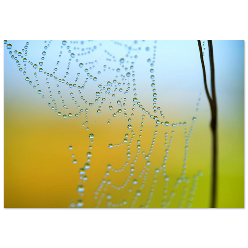 c1bc8422-d51f-4868-a1d2-38c0f444c14e