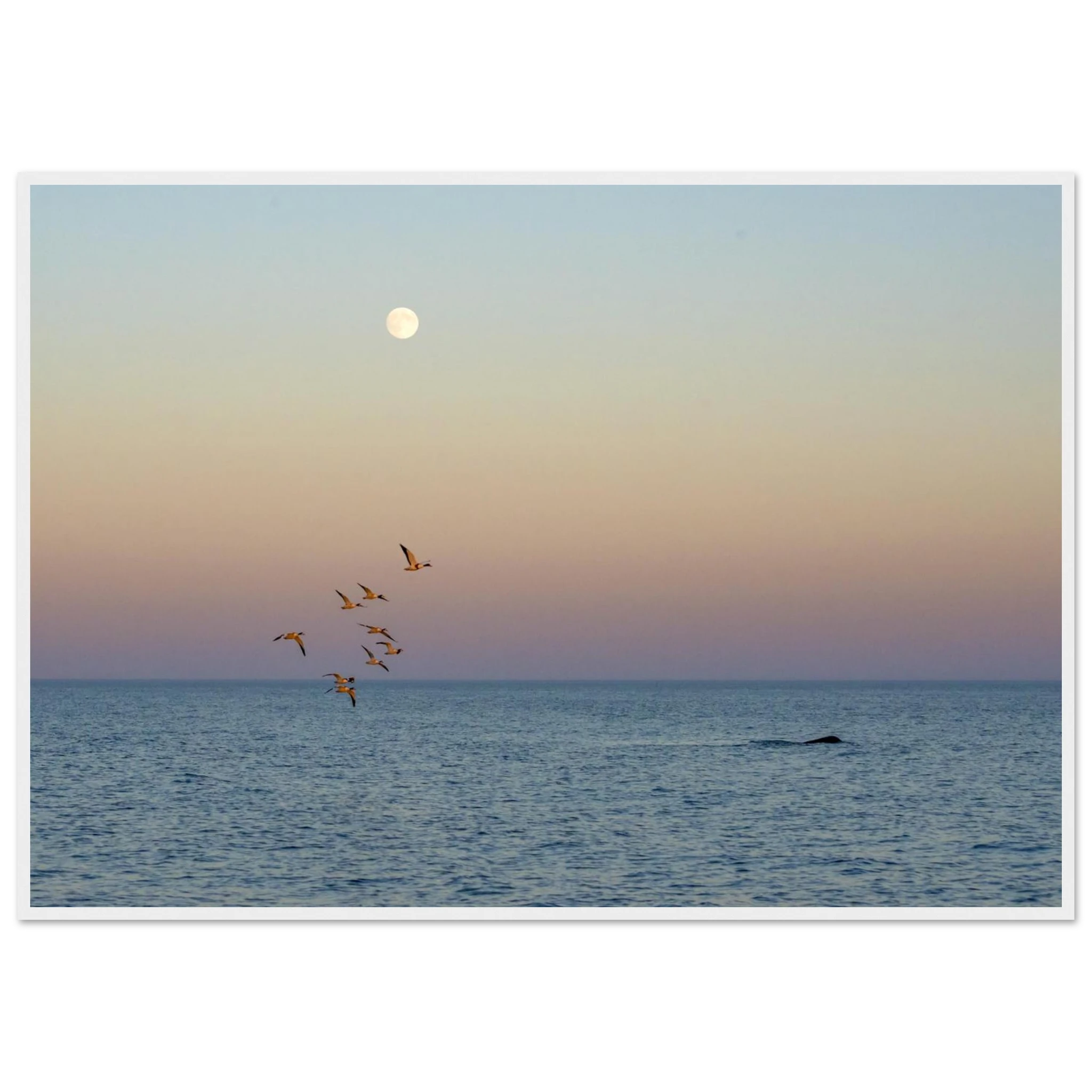 c2248c31-759c-4f99-9d56-f75e73005528