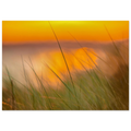 c254f1ed-24a2-42b2-bbd0-364e76dc6b65