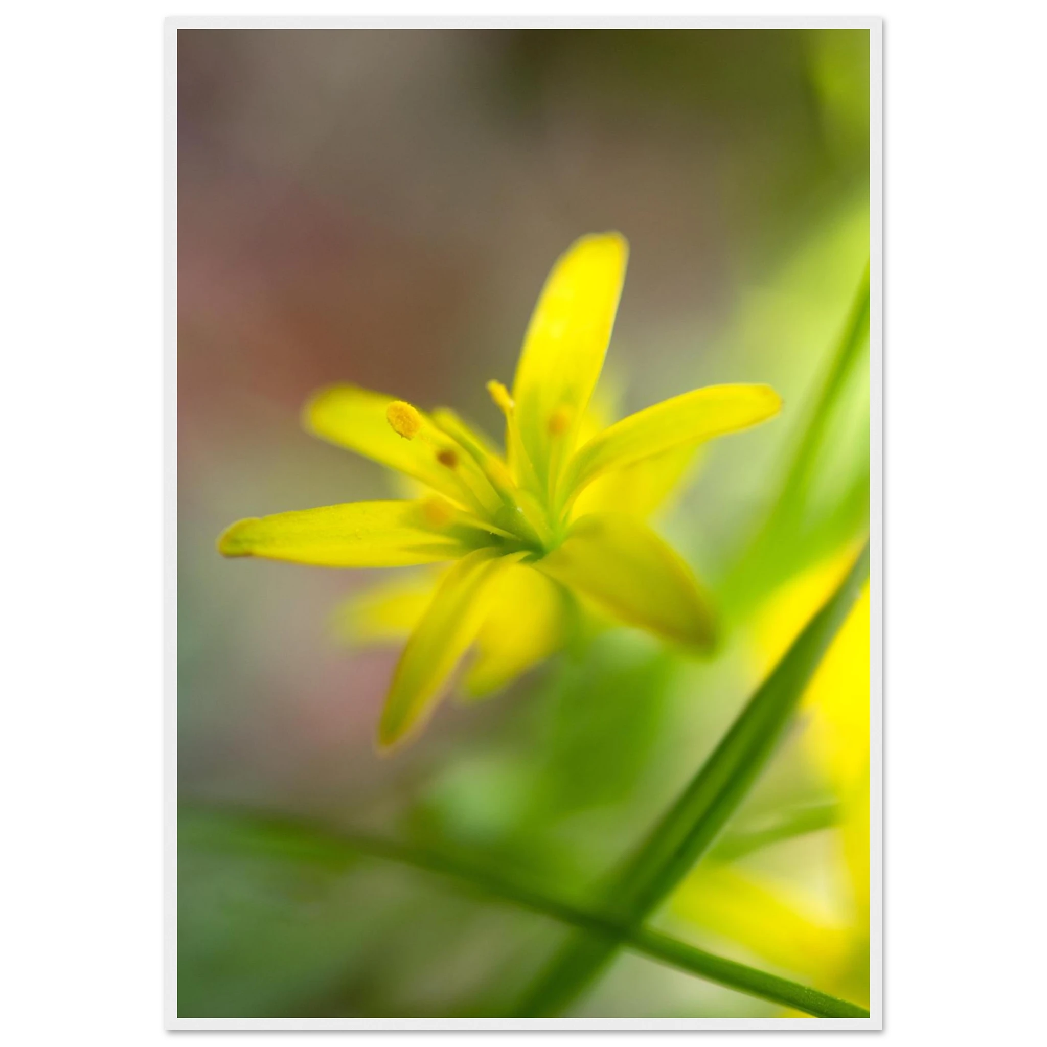c2635d05-2947-460c-8d5b-14472837fa39