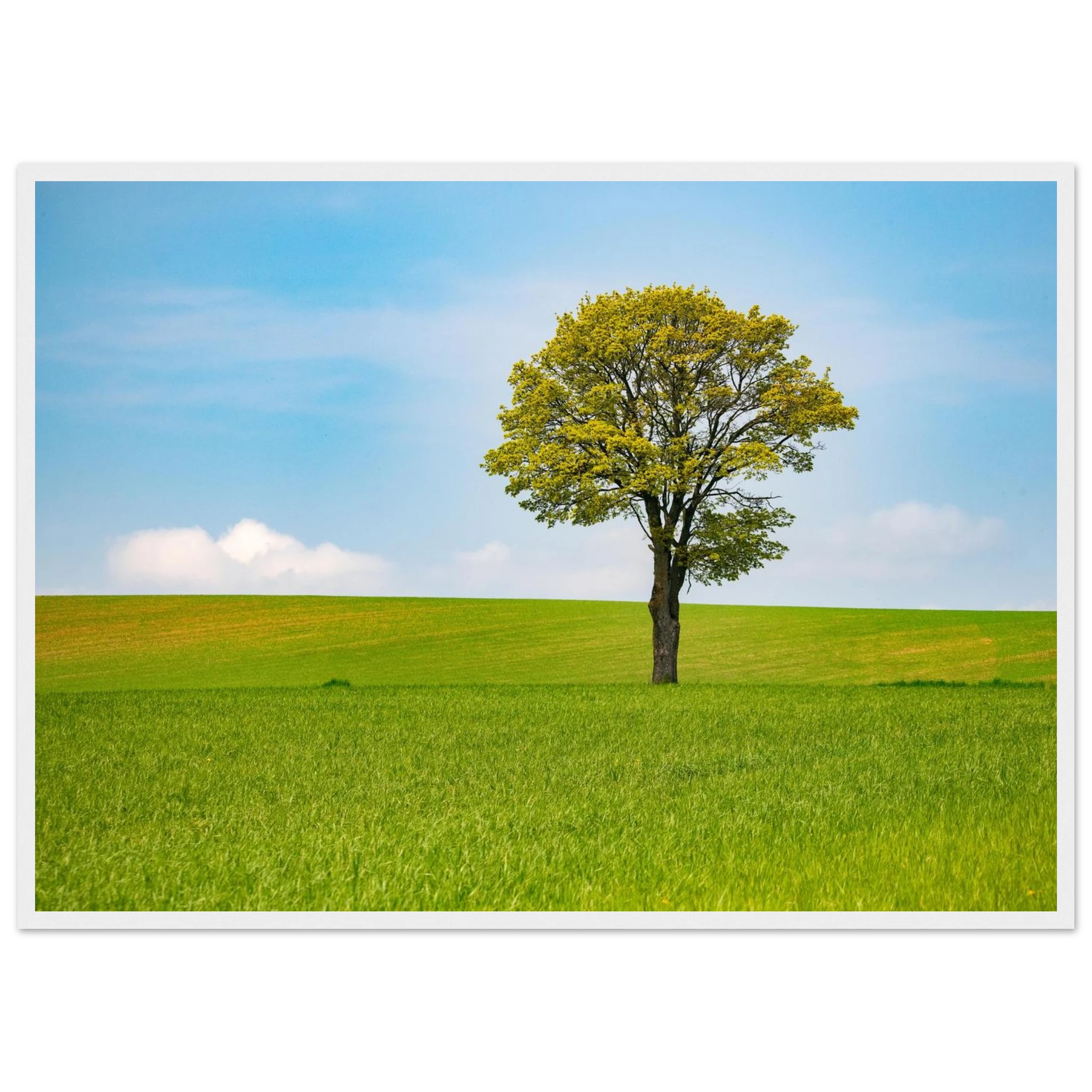 c2d08c8c-5852-44a5-bb31-867f4af92643
