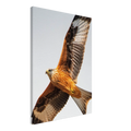 c3073953-1e79-480d-8ff6-039eadc415ee