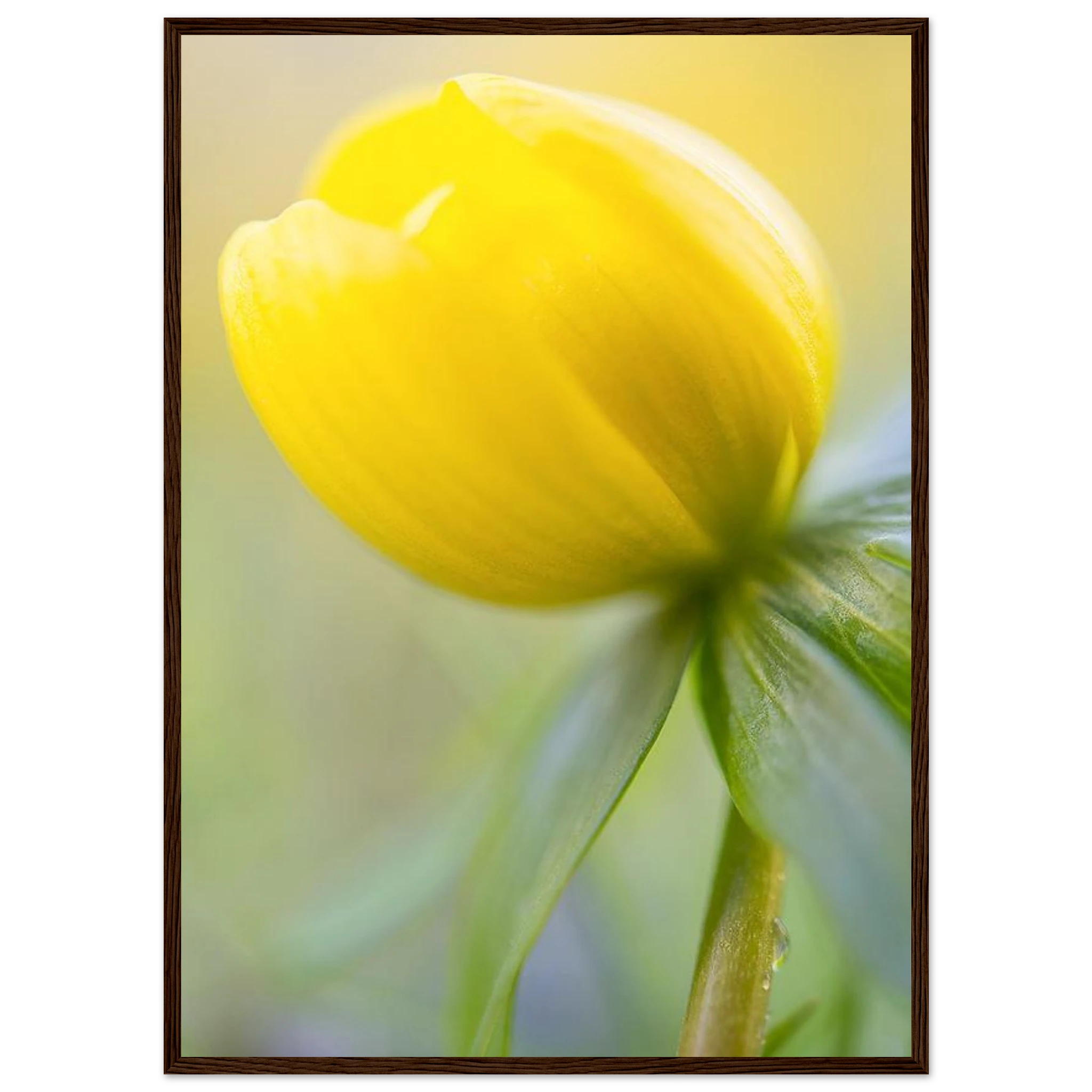 c328346b-f197-49d9-bfcd-c05852699212