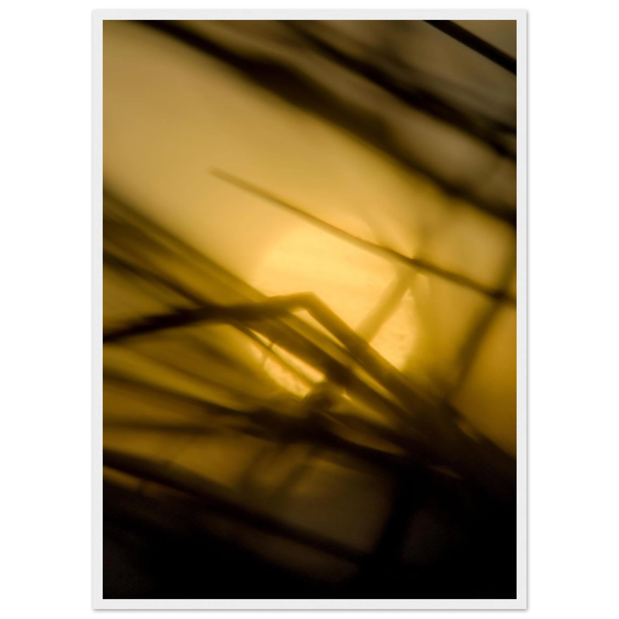 c3596b37-a010-4d46-979b-e0d5c76eee4b