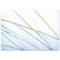 c37043c2-e591-4b80-b359-95ab77077455