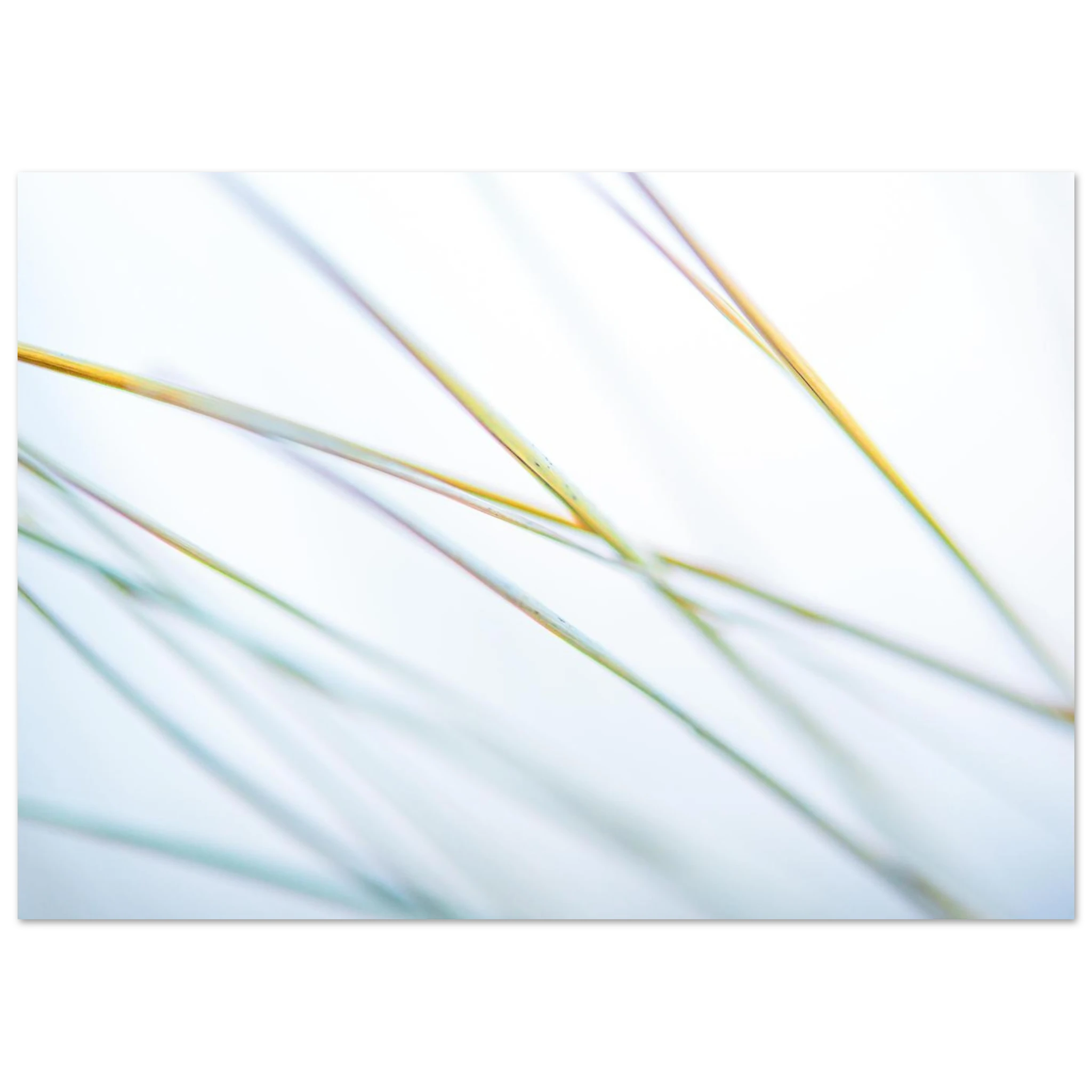 c37043c2-e591-4b80-b359-95ab77077455