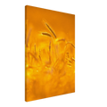 c3c963a3-8869-4234-baba-a9427197ce98