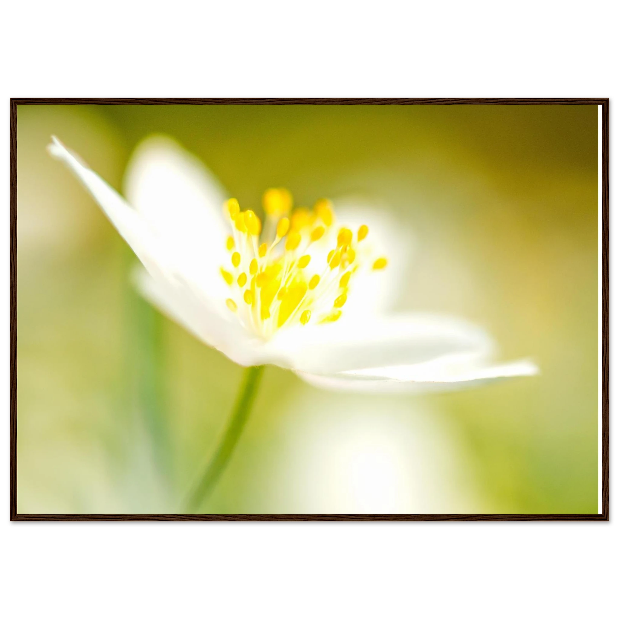 c40d4590-8356-4ff3-83f8-7501f7f20db5