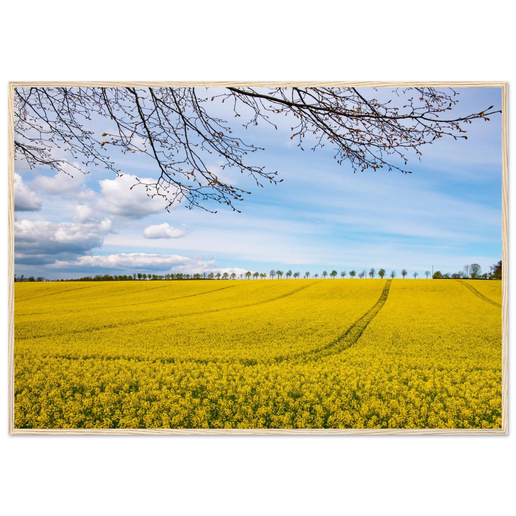 c45ad262-f2a2-4135-bc5b-3a485f25c415