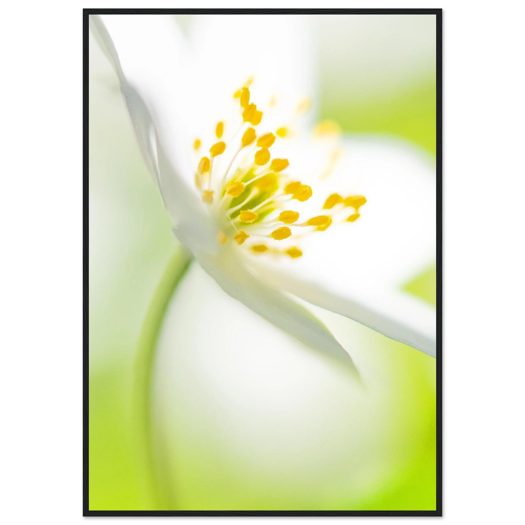 c4f467d6-7840-4d30-8df4-b36b817091cc