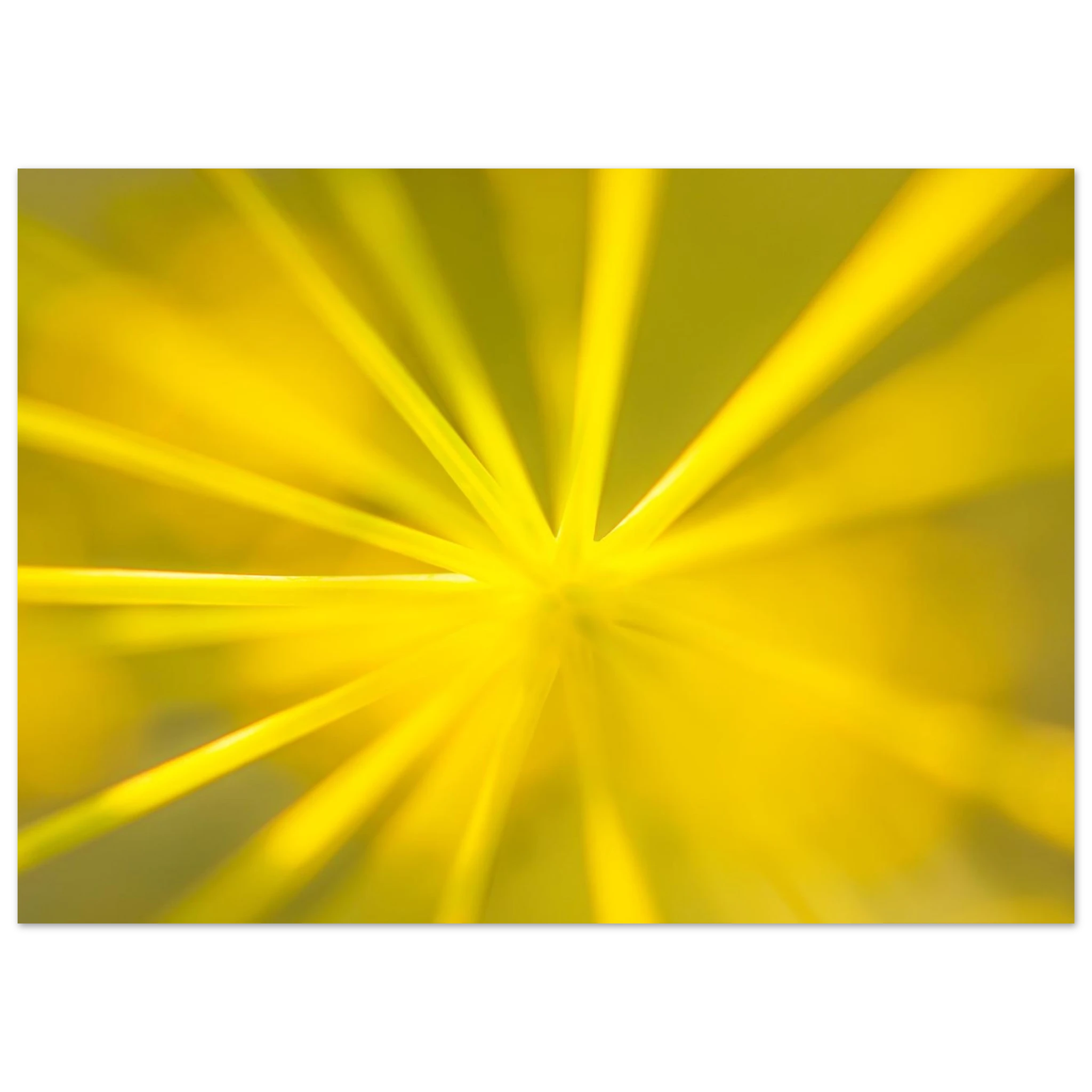 c55564e9-fc38-4a14-a375-1b1572336c2c