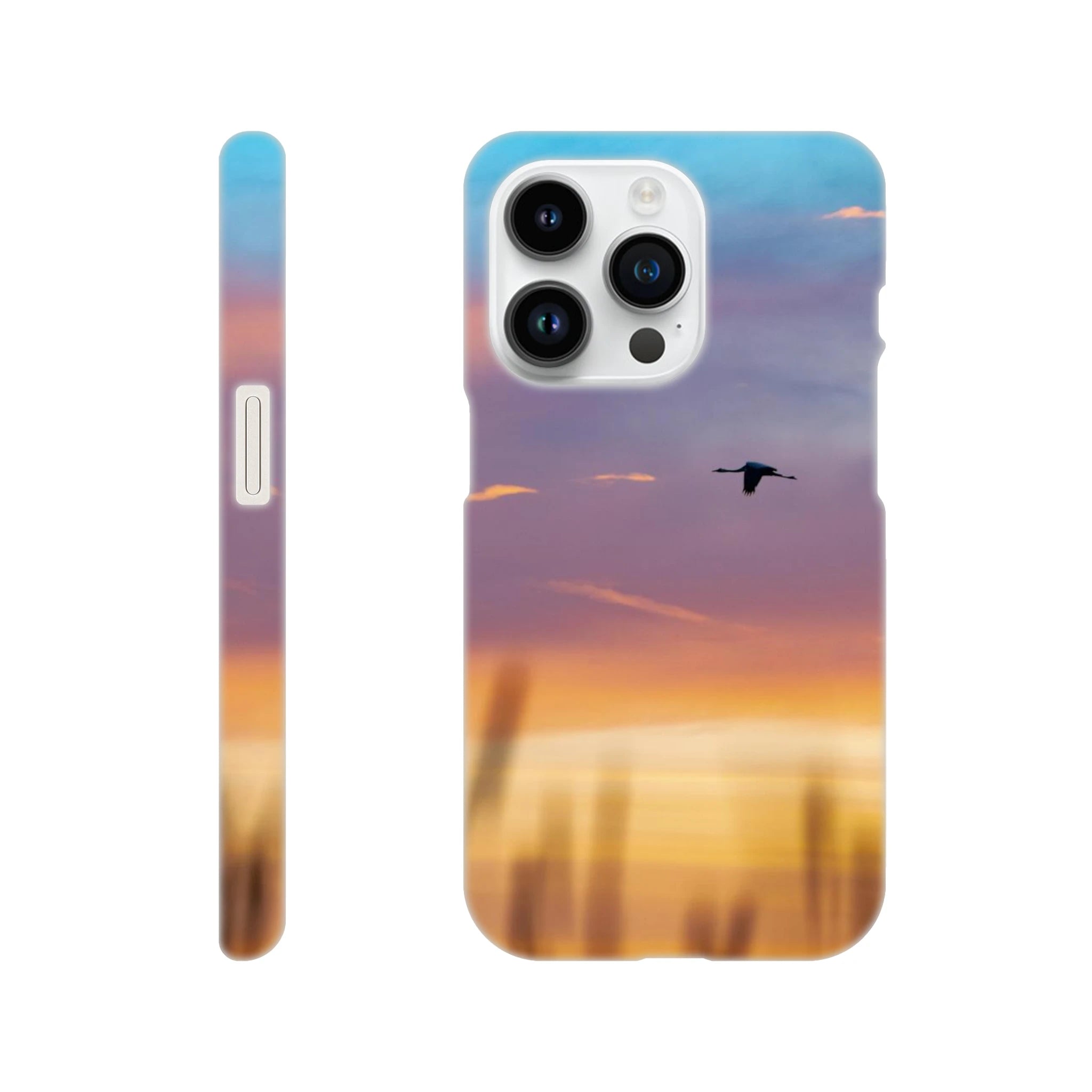 c57b832c-f4b2-48c4-80e0-da3d9854cac0