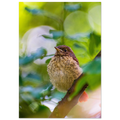 c6222d28-ae93-41b7-ab92-a64fd622493b