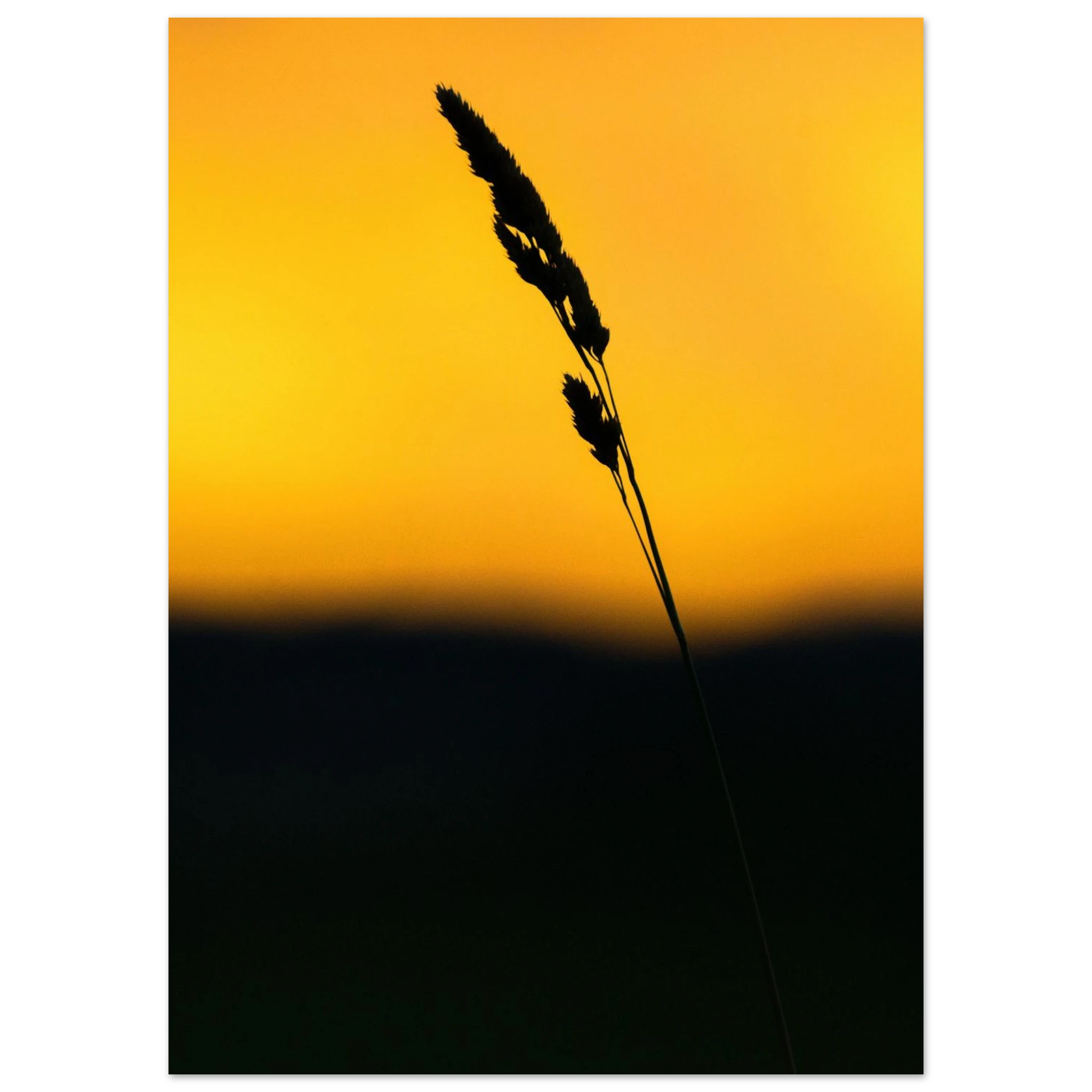 c6b12408-2f6b-40e5-99fe-4c8b9d8eb114