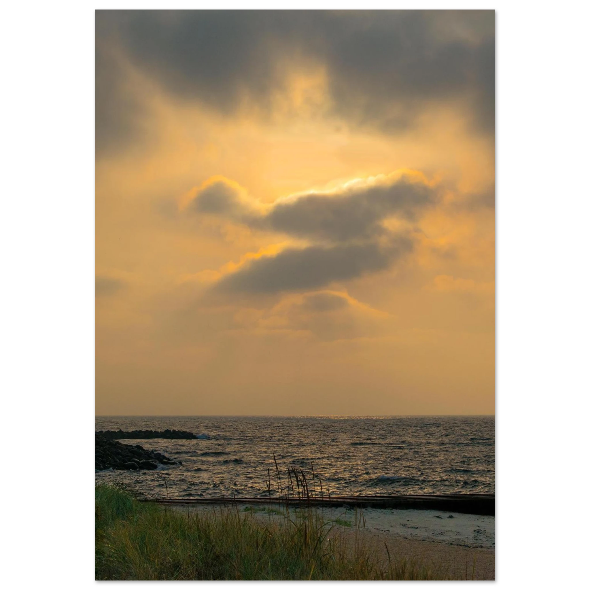 c6edcfe1-04dd-4620-864b-d2fa8b45576c