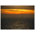 c74cbb1f-d4a0-47fd-824b-cb03a621607f