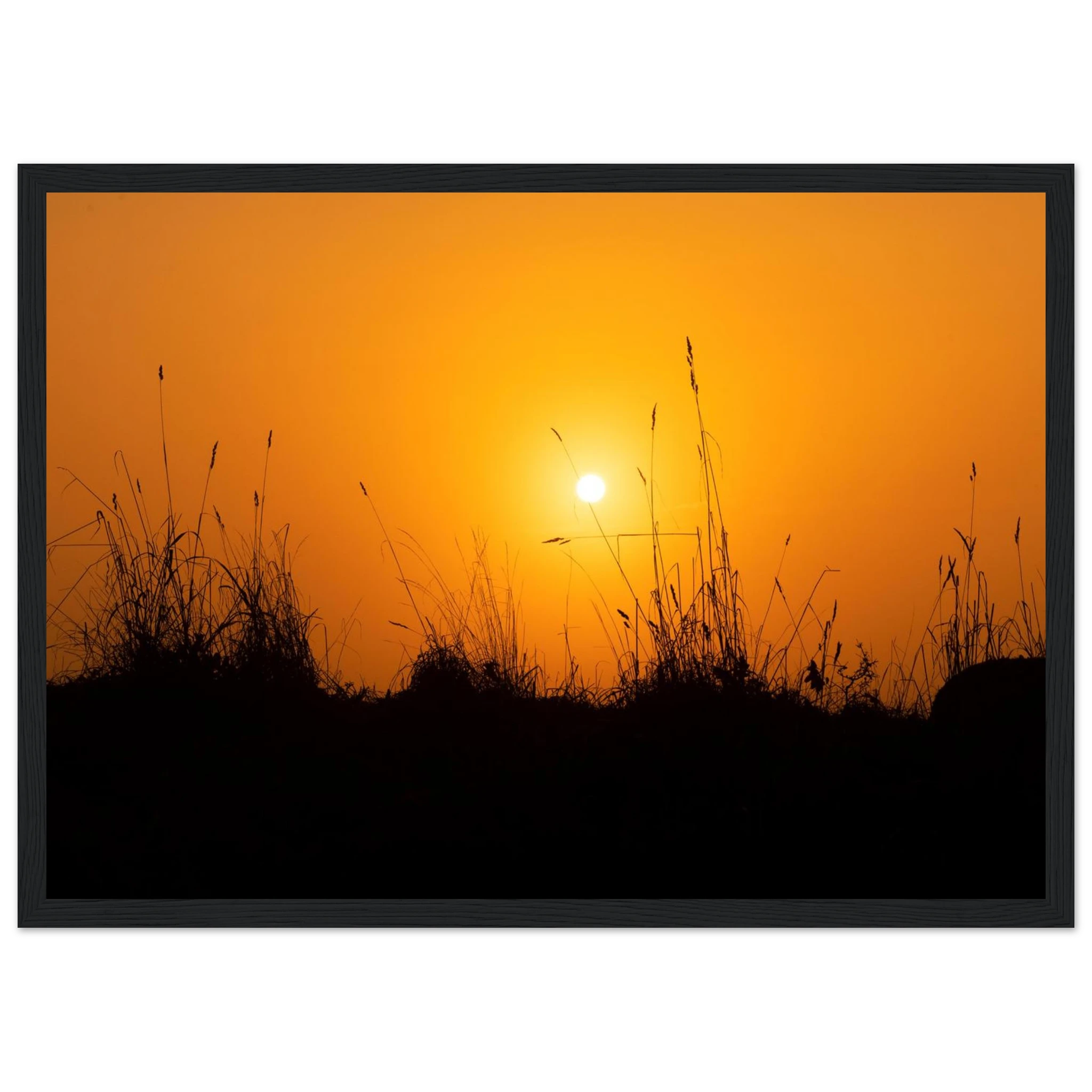 c763ab4b-bdad-4d2b-9180-102c3c15da12