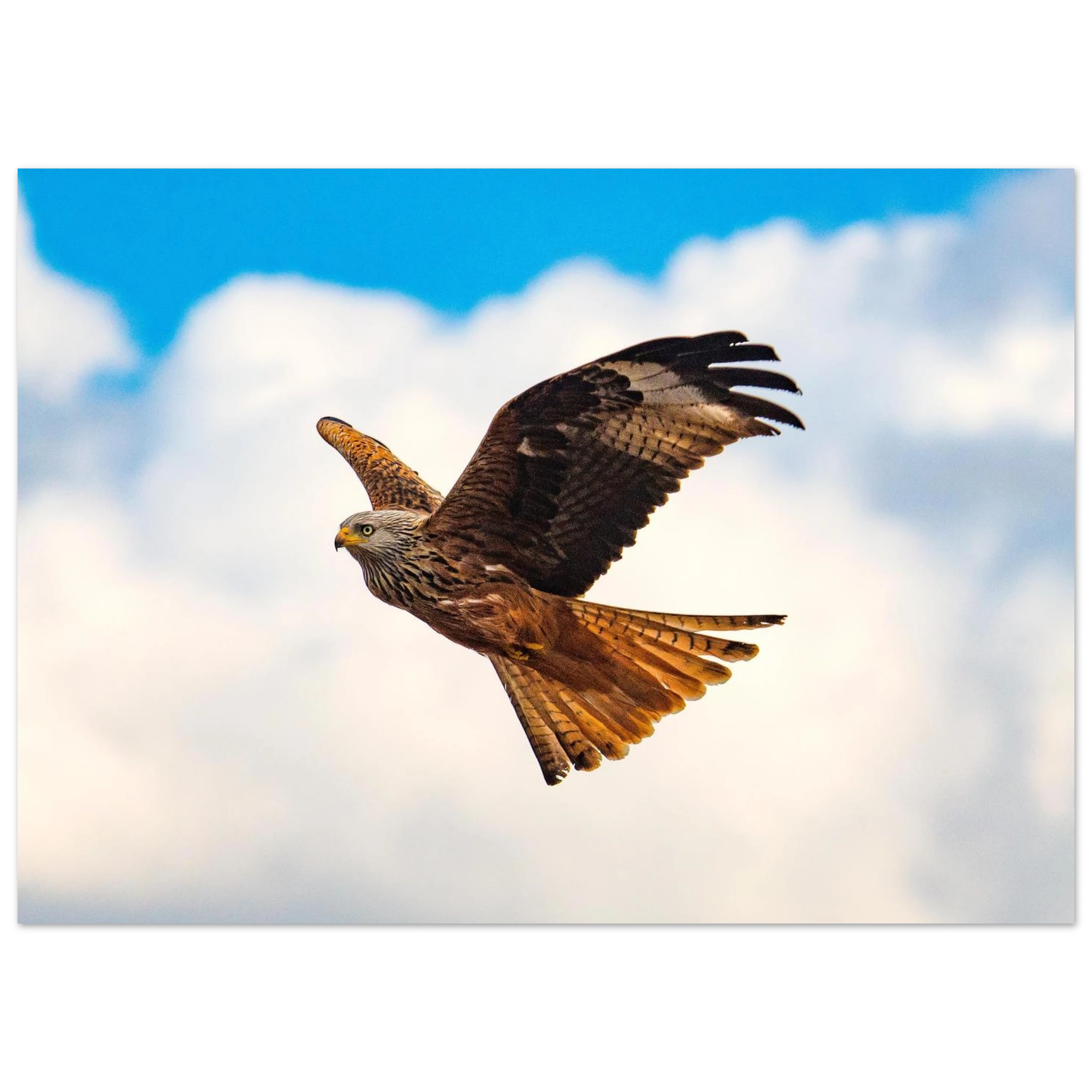 c77552d9-ee74-47fc-b8ef-3f9756b13027