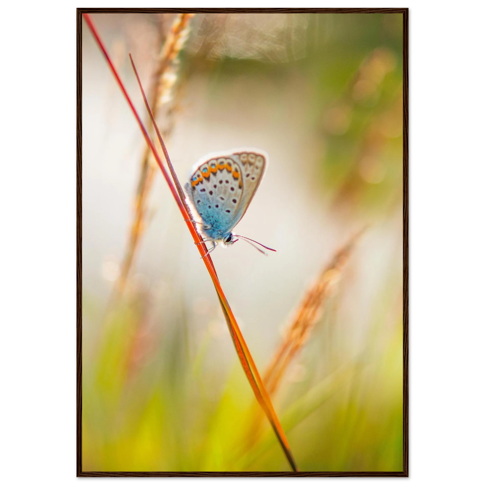 c79983e1-4fbc-445a-a479-b45e78ff823b