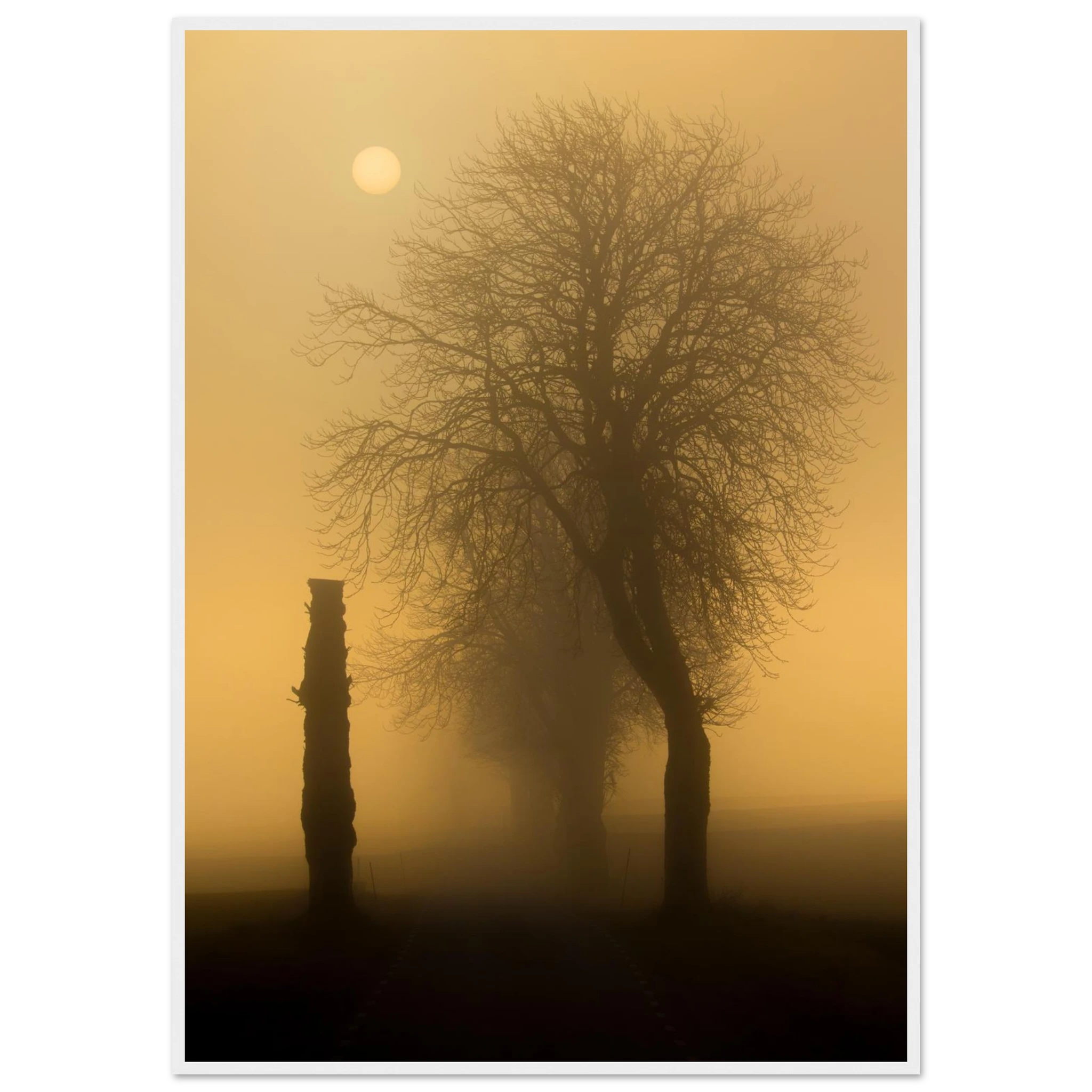 c7a52541-70b3-4b2e-8f97-00de5c16e764