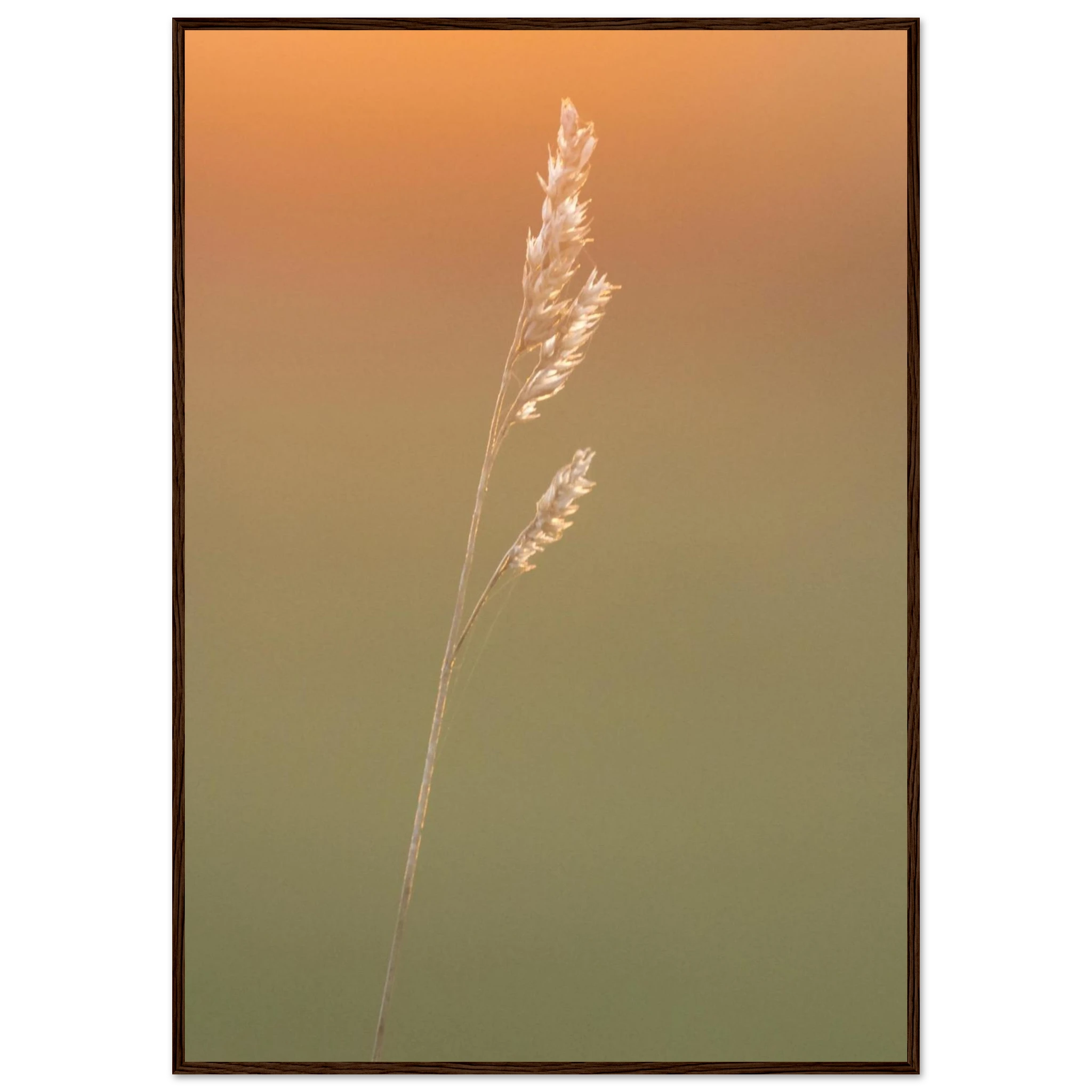 c7a7fa40-263e-4de7-81e0-90dc5d078e84