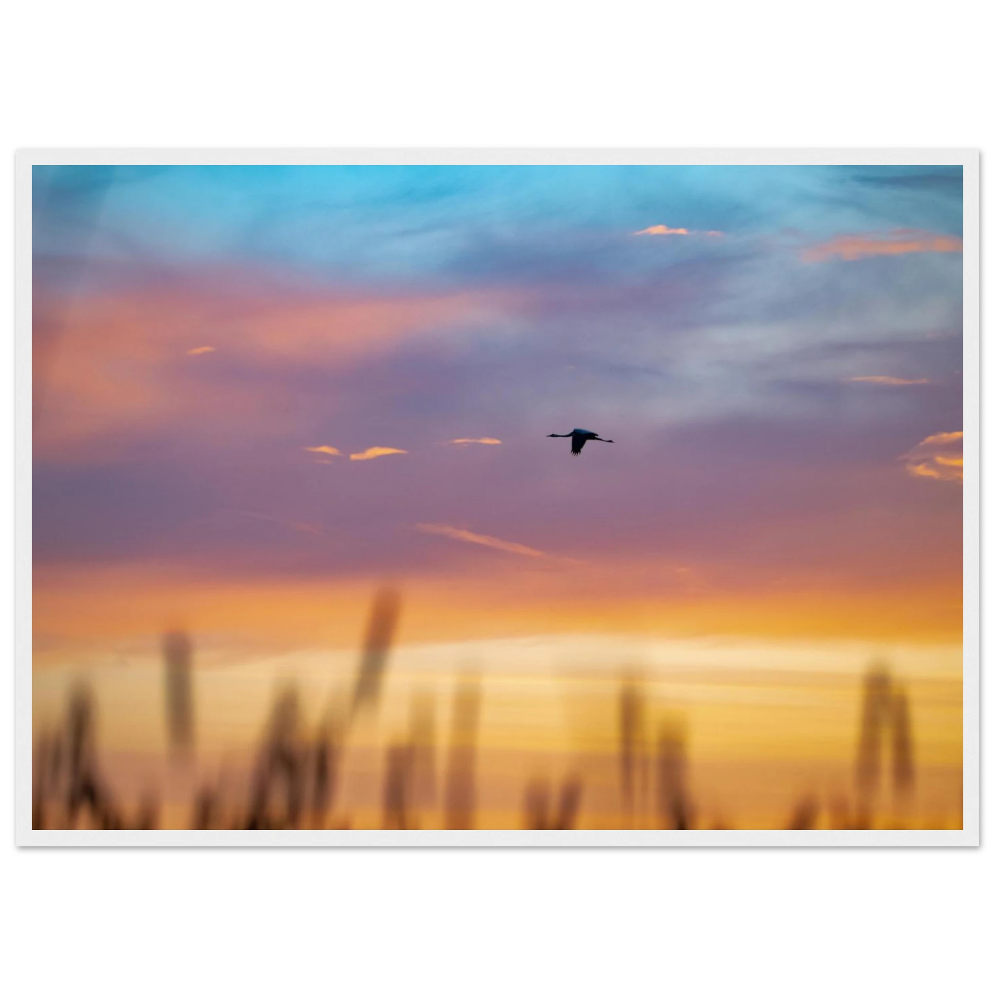 c7c576f8-5eb3-409e-b969-4d54e14c4f69