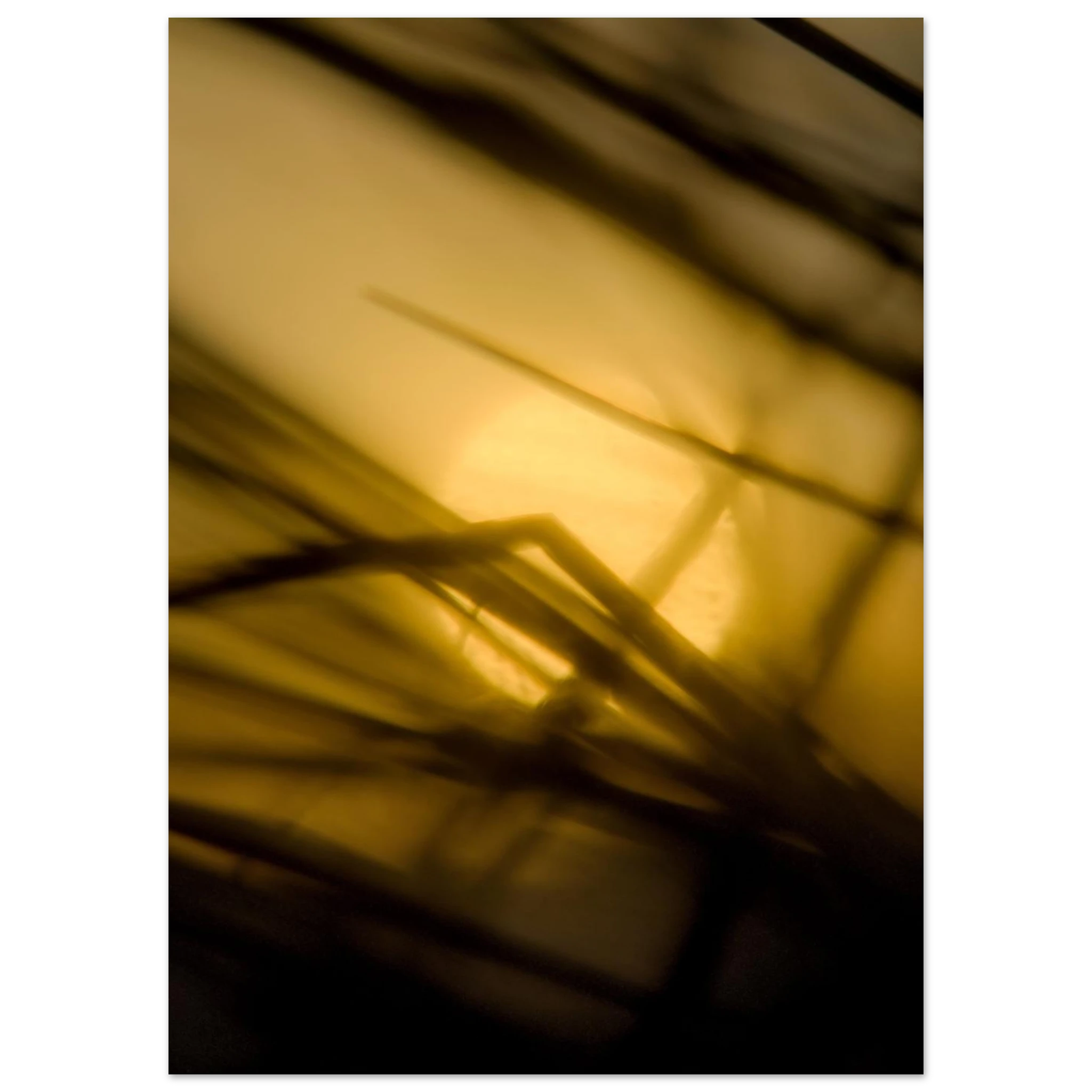 c85b4e4b-a30b-49b4-bad1-d8d7db1317ea