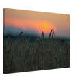 c86a1b05-caa2-4577-83c9-9ead620ef827