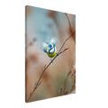c90a3fbd-948f-4e99-8792-92bd227f04bb