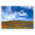 cbb96016-1f30-4b7a-872f-f4047adbc285