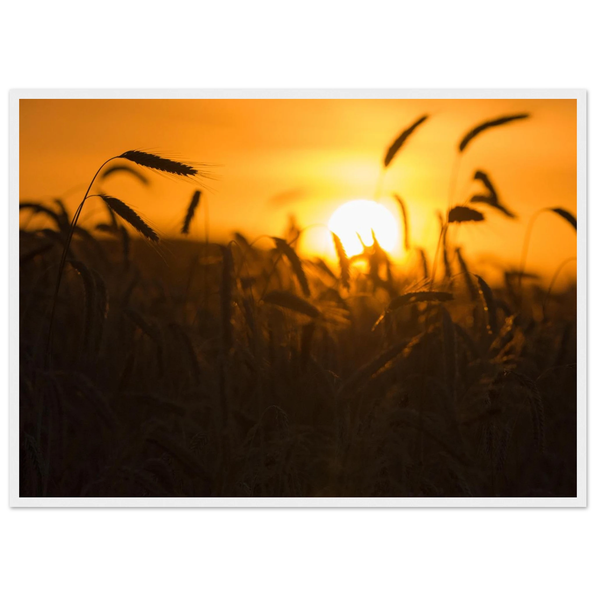 cbfe3cf6-e1fe-41f9-8531-a80043d35f39